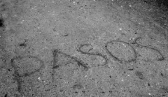 Eguneko joana asaldatu - 2017/09/08