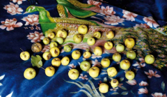 HAIEK DANAK SORGINAK - 2017/07/20 - 2017/09/04